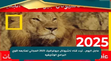 عاجل اليوم.. تردد قناة ناشيونال جيوغرافيك 2025 المجاني لمتابعة أقوى البرامج الوثائقية
